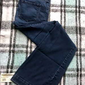 Free People fit and flare premium denim